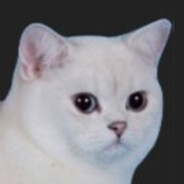 yung scew's avatar