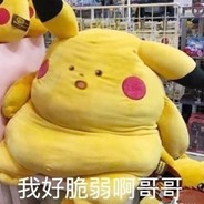 dd饭饭AKA火锅之主