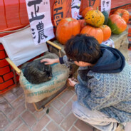 恋爱只谈射手座