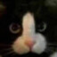 迪克菲斯凯特's avatar