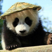 dok avatar