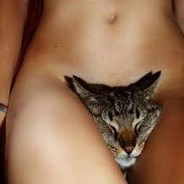 Киска В Зоне Риска