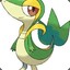 Snivy1579