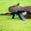 The Counter Strike Capybara