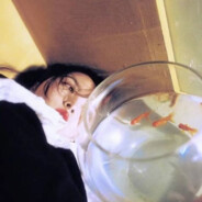 忧郁总裁兜不住屎被吊