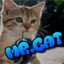 Mr.Cat