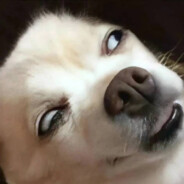 阿富汗爆破手三三