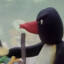 Noot Noot