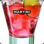 MaRtInI