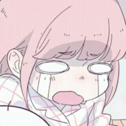 想养一只折耳猫