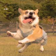 y_