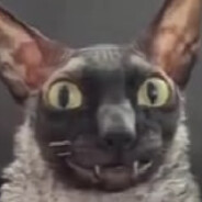 ДЕБЕЛА БАРАБОЛЯ