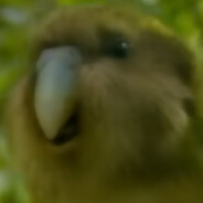 CarryMoreAnimalsThanNoah