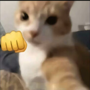 ❤可约QQ893385663❤