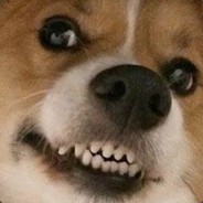 Jerboadon