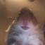 smicjk's avatar