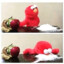 Elmo sabe donde vives
