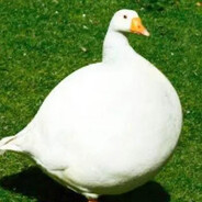 Опасный гусь