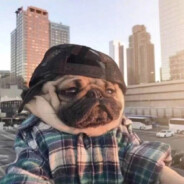 马嘉祺的右高玩