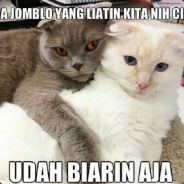 Ku.Do
