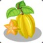 STARFRUIT