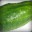 Cucumbers ™