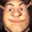 Humanoid Shrek