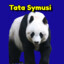 TataSymusi