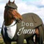 Don Juan