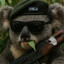 SGT.Koala