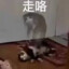 随心所欲233