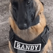 Randy