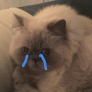 Xone cheats test - steam id 76561199645705293