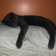 Григорий Сиська