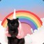 unicat
