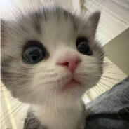kocyk jr avatar