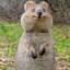 QuoKKa