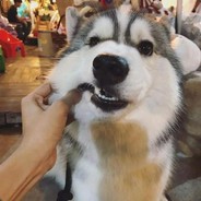 我在阴间有套房