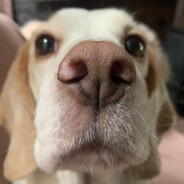 wunkus avatar
