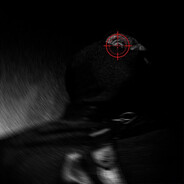 nooks Steam avatar
