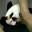 晚风不及她笑颜