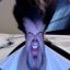 mrhofius13