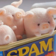 给我一块猪鼓励