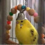borb