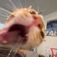 我跟你讲 我今天