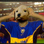 CACHORRAO