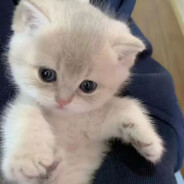 远知道该怎么做