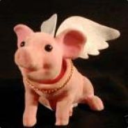 Flyroper