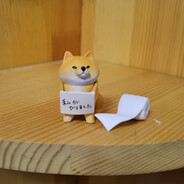 喜欢玩球的哈士奇