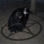 Avatar of player you're incorrigible